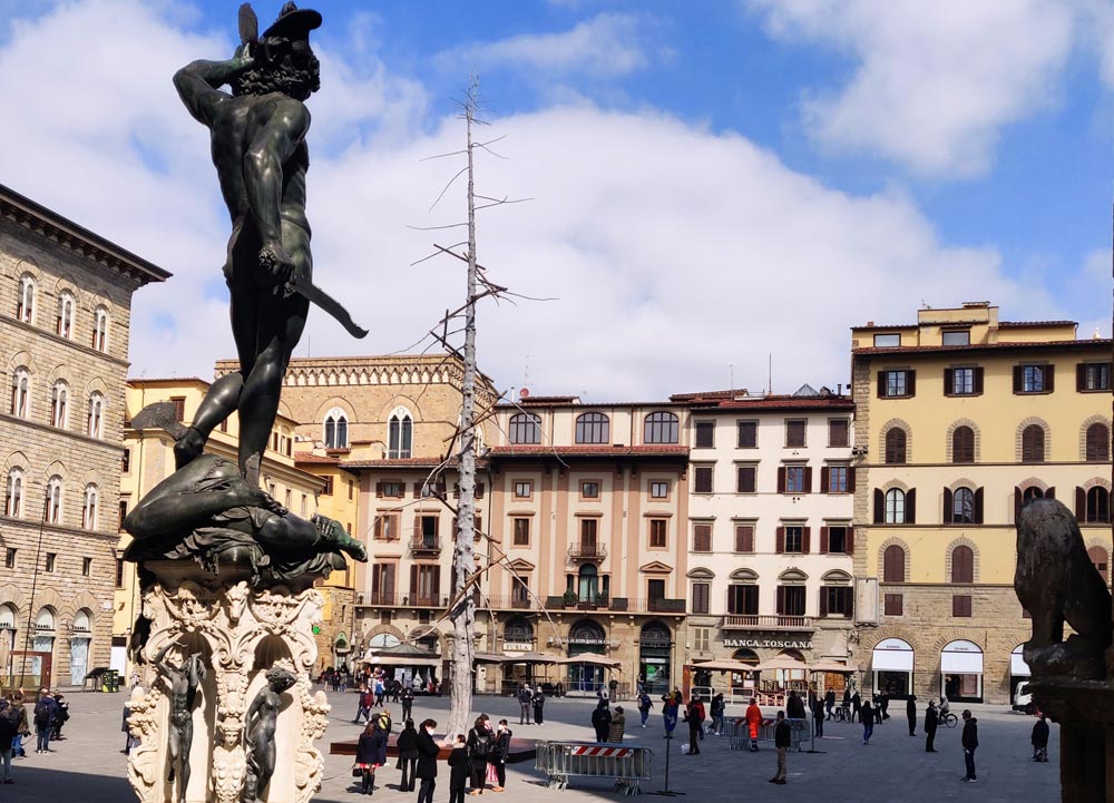 Firenze Installato In Piazza Della Signoria L Abete Di Penone Un