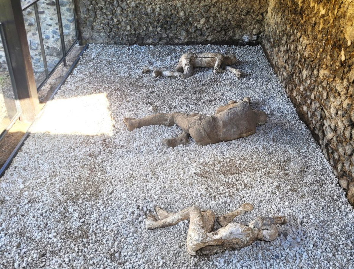 Pompei Un Nuovo Percorso Di Visita Porta Ai Calchi Delle Vittime Dell