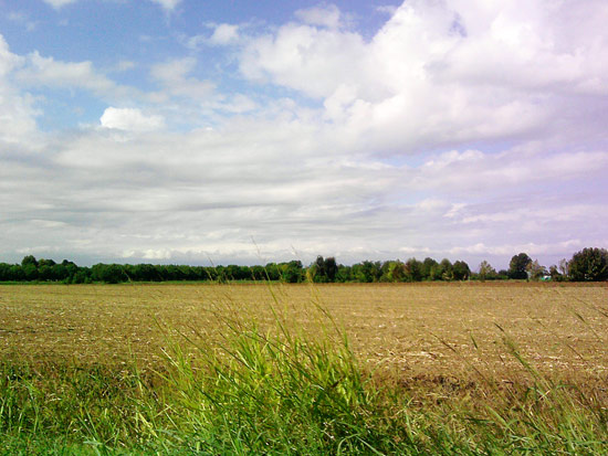 Campagna mantovana