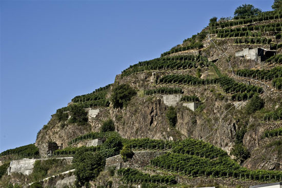 I terrazzamenti della Valtellina