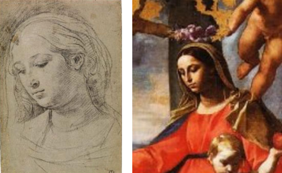 Simone Cantarini, Busto di giovane donna e particolare della Madonna del Rosario