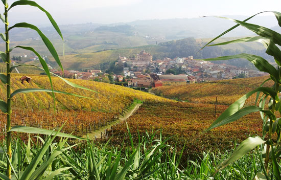 Le Langhe