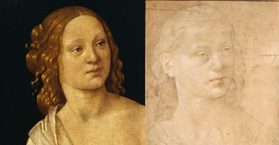 Il volto a confronto con il disegno di Vienna, Albertina