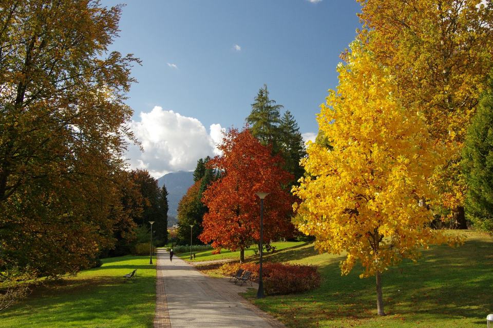 Levico Terme, Parque de los Habsburgo. Foto: Visit Levico Terme