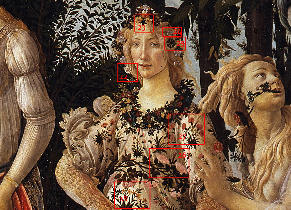 Las especies vegetales de la Primavera de Sandro Botticelli