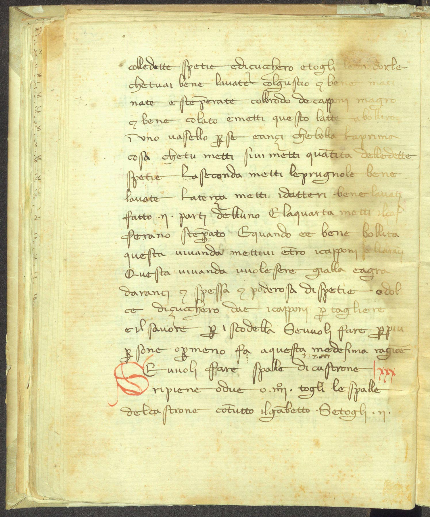 The oldest cookbook in the vernacular a 14th century codex at the