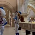 New York, importante squadra di baseball ha regalato ingressi ai musei per i tifosi