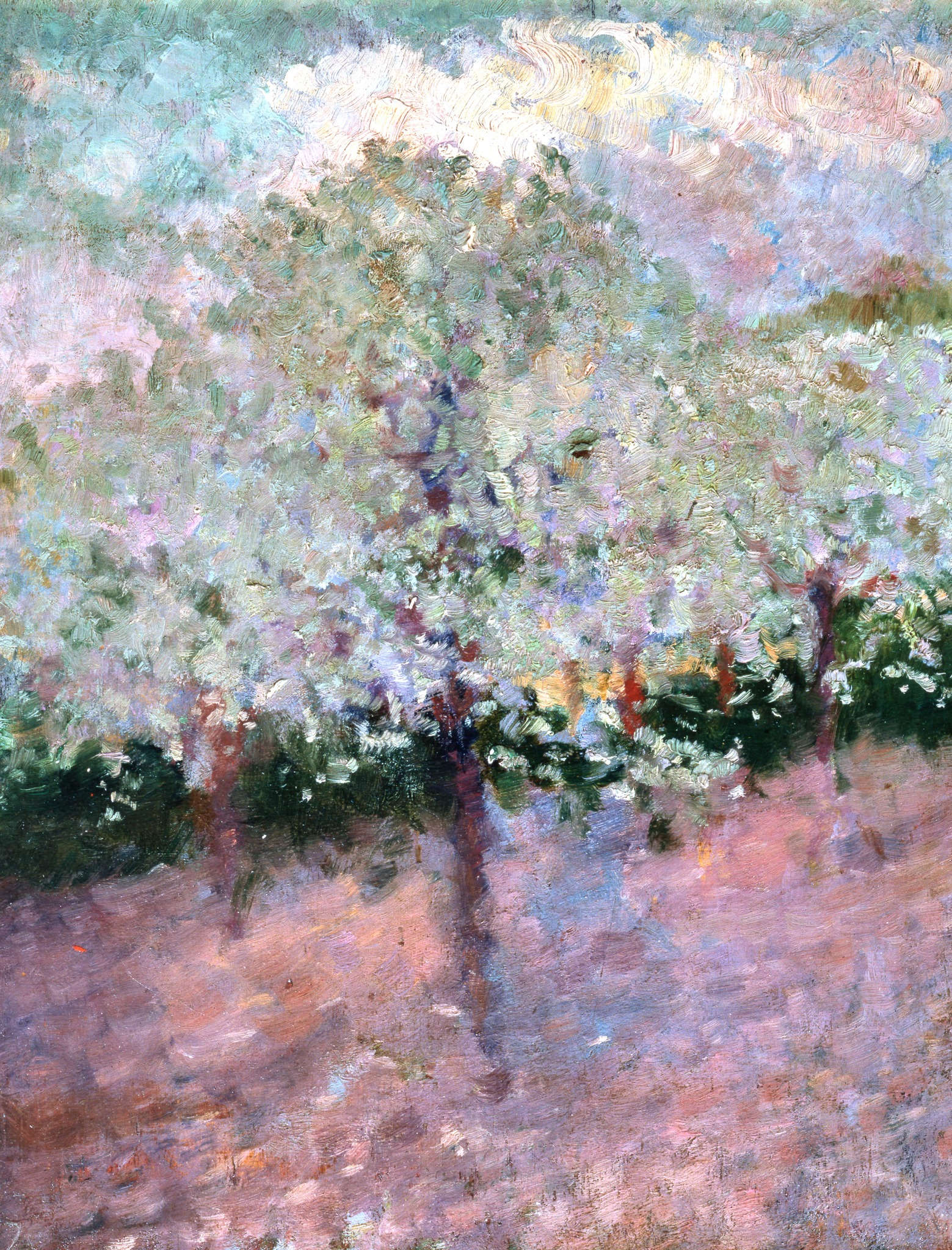 Serafino Macchiati, Arbre en fleurs (1905 ; huile sur panneau, 26,7 x 21,5 cm ; collection privée)