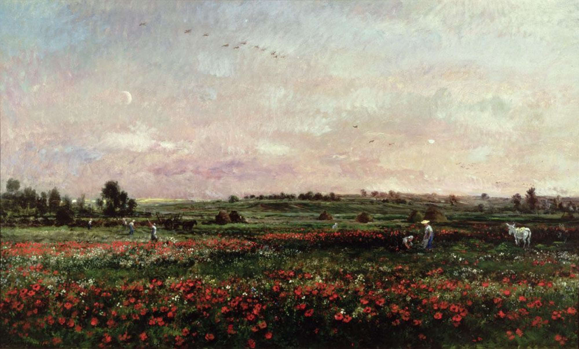 Charles-François Daubigny, Fields in June (1874; oil on canvas, 133 x 224 cm; Ithaca, Herbert F. Johnson Museum of Art)