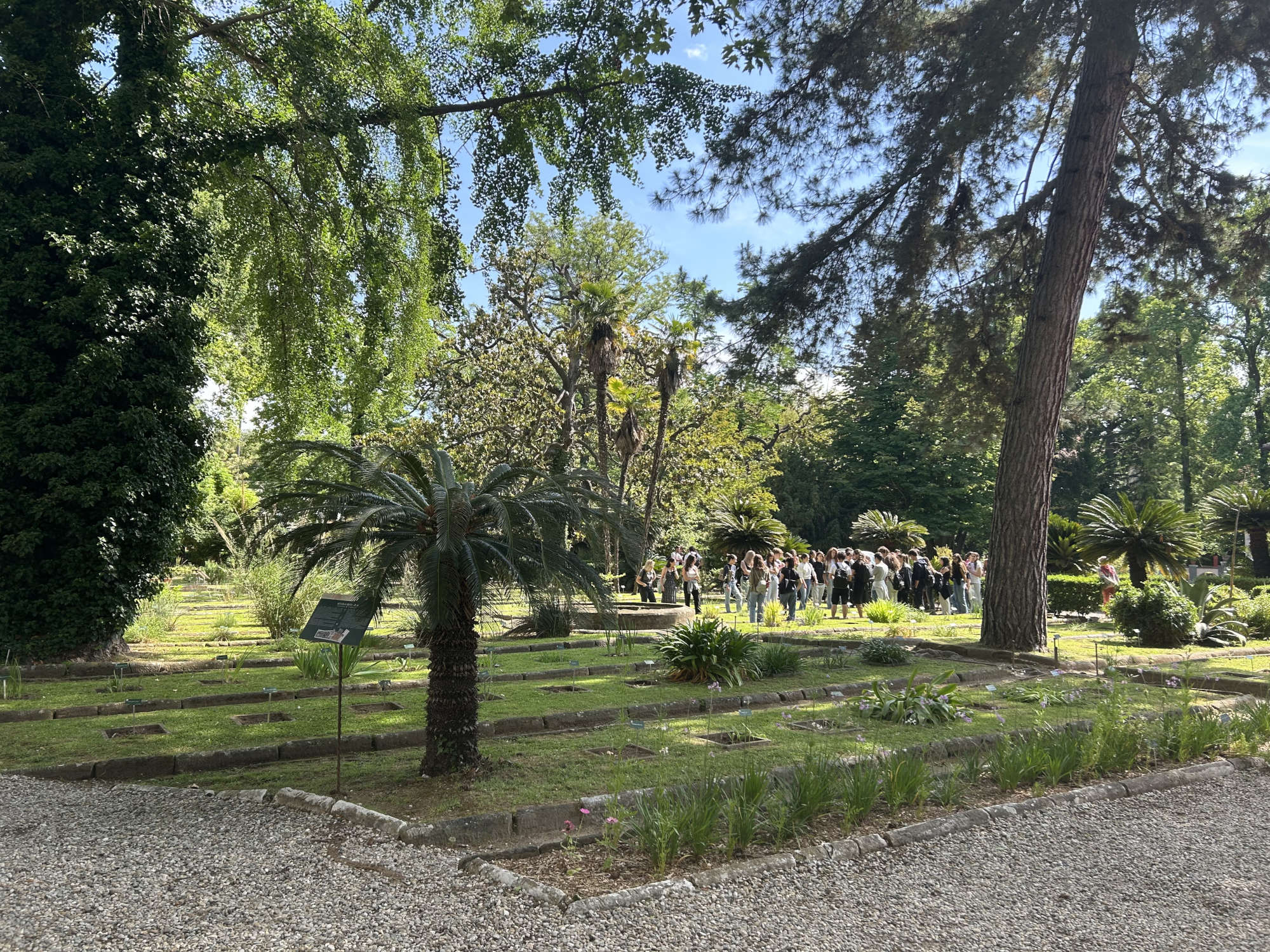 Der Botanische Garten von Pisa