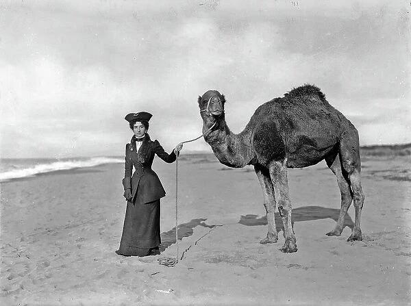 Elena del Montenegro, esposa de Víctor Manuel III de Saboya, sujeta un dromedario con correa en la playa de San Rossore.