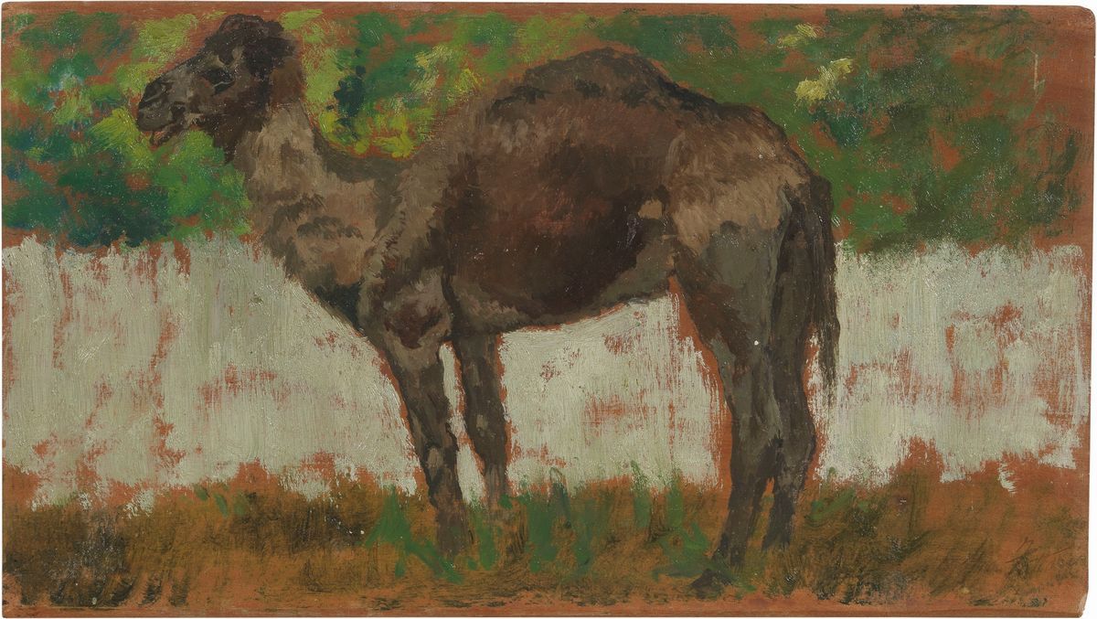 Giovanni Fattori, Le dromadaire (vers 1870-1875 ; huile sur panneau, 13 x 23,5 cm ; collection privée)