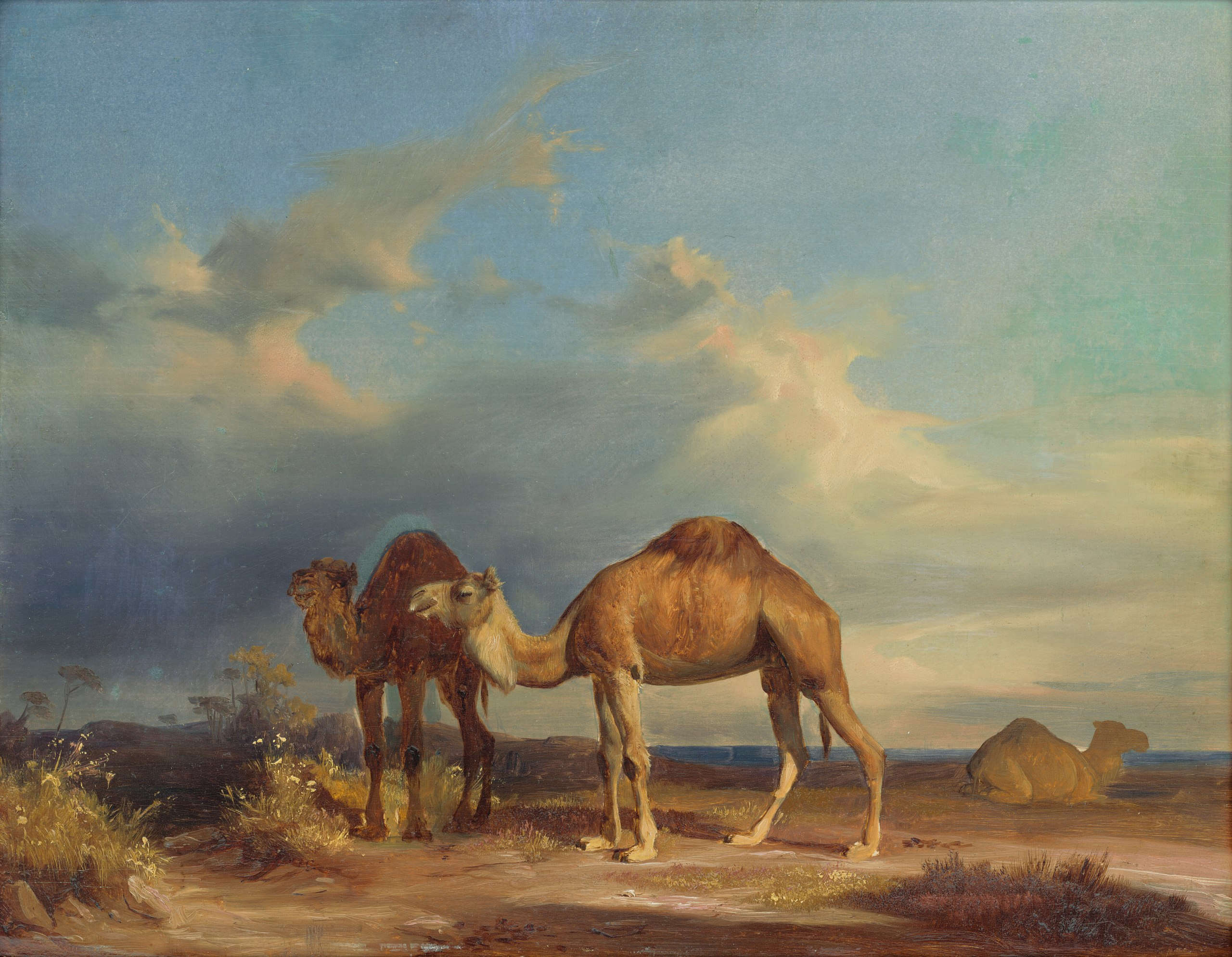 Károly Markó the Elder, Camels at San Rossore (1835; oil on panel, 37.2 x 47.2 cm; Bratislava, National Gallery of Slovakia)