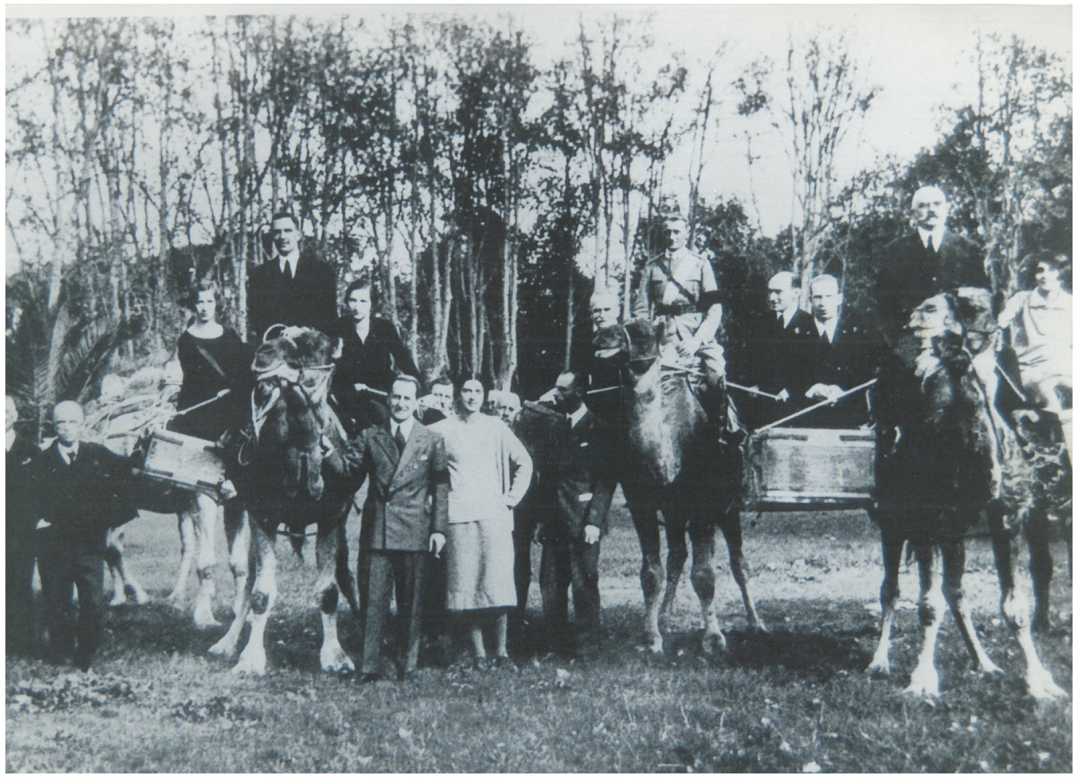 Die Savoyen reiten auf Dromedaren im Park von San Rossore