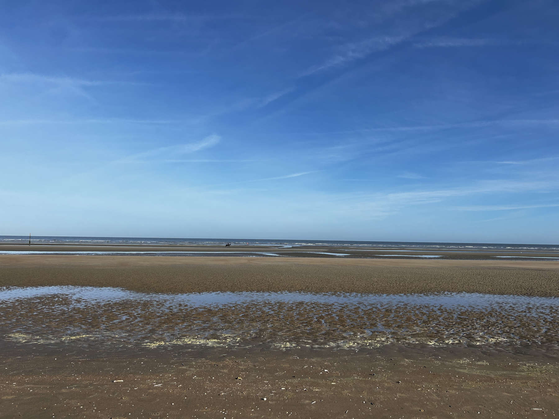 Strand von Koksijde. Foto: Francesca Gigli