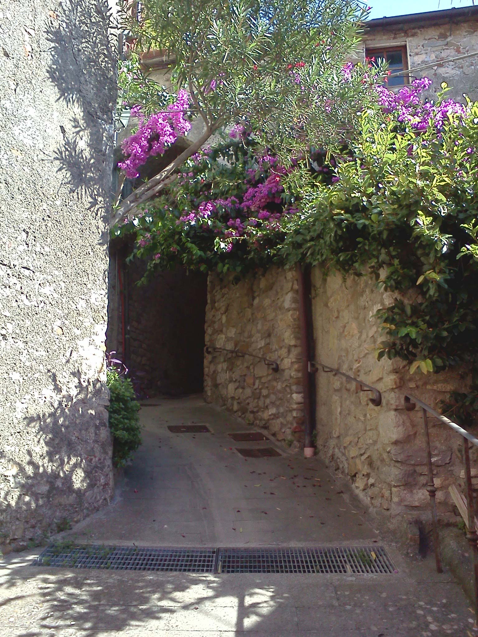 Alleys in Trebiano Magra