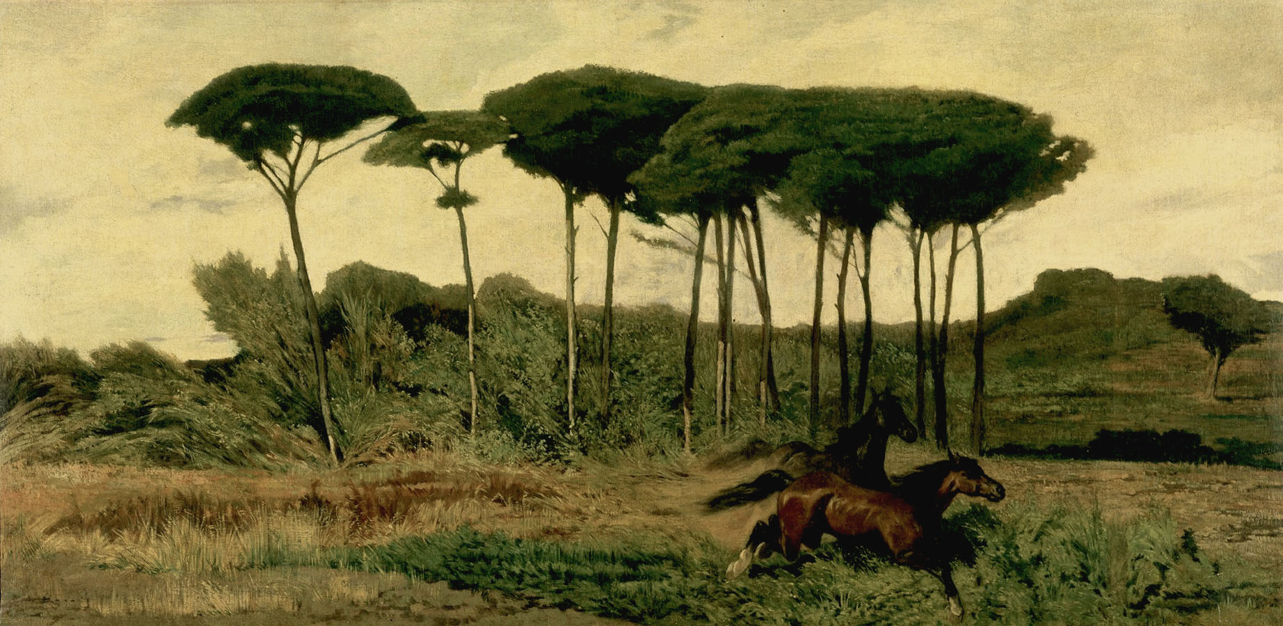 Giovanni Fattori, Wildpferde im Pinienwald von Tombolo (um 1867; Öl auf Leinwand, 85 x 174 cm; Florenz, Galleria d'Arte Moderna di Palazzo Pitti)