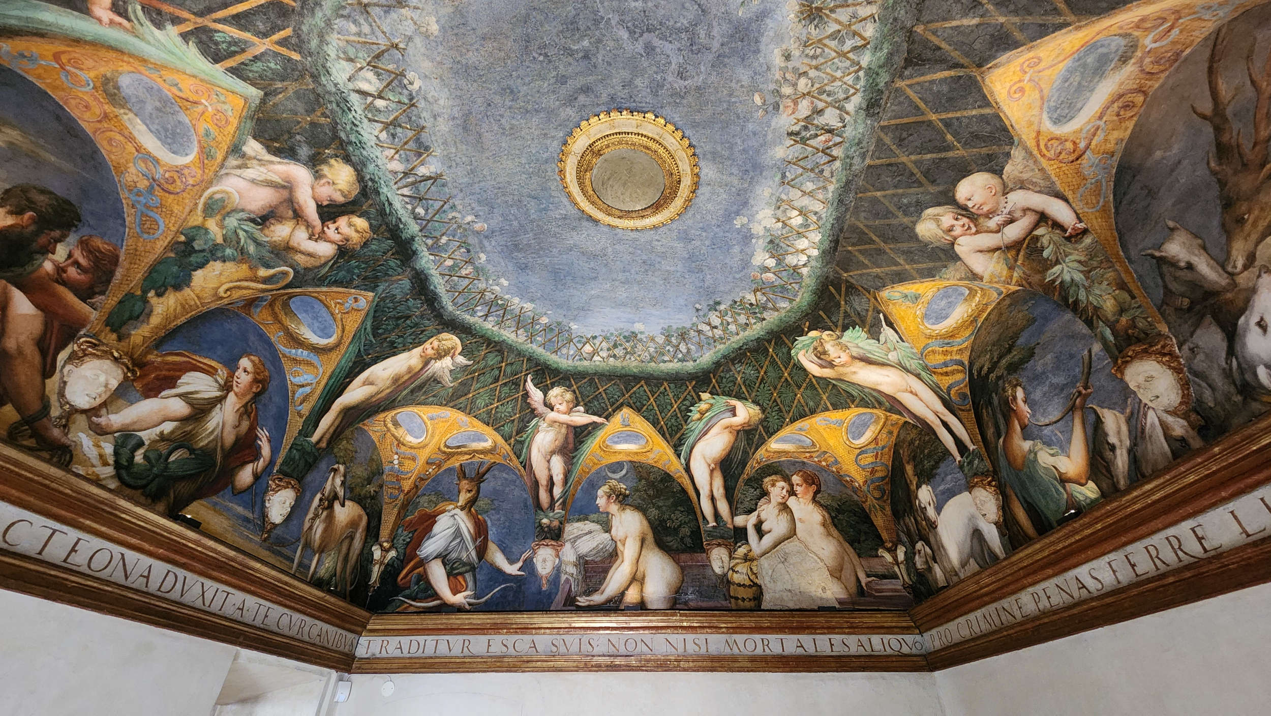 Room of Paola Gonzaga, Parmigianino's Stories of Diana and Actaeon