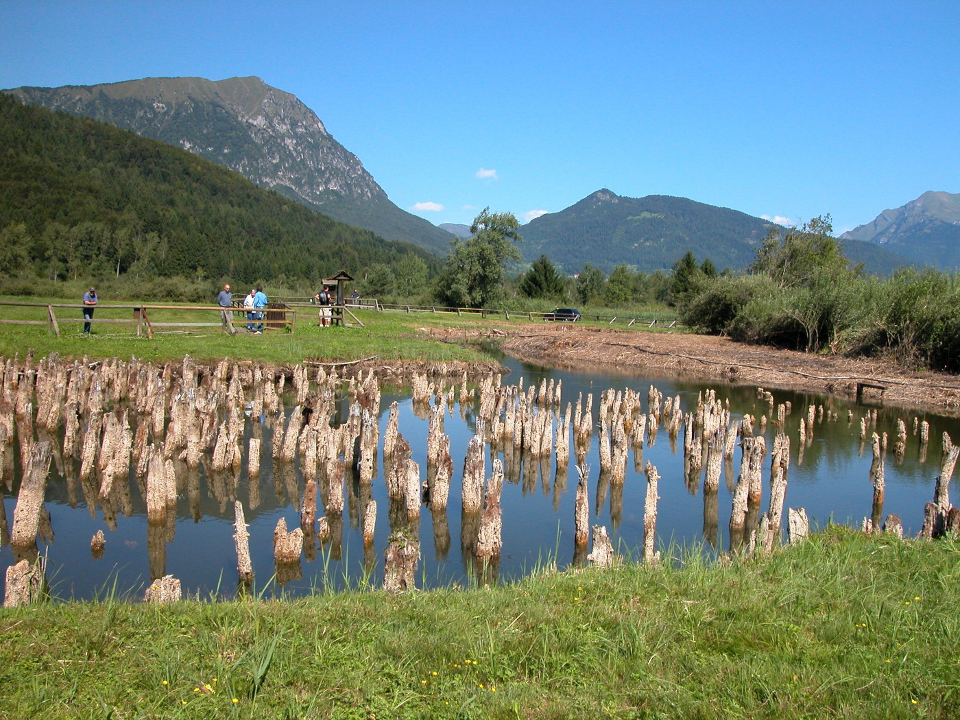 Palafitte archaeological area of Fiavé. Archives Office of Archaeological Heritage Autonomous Province of Trento.