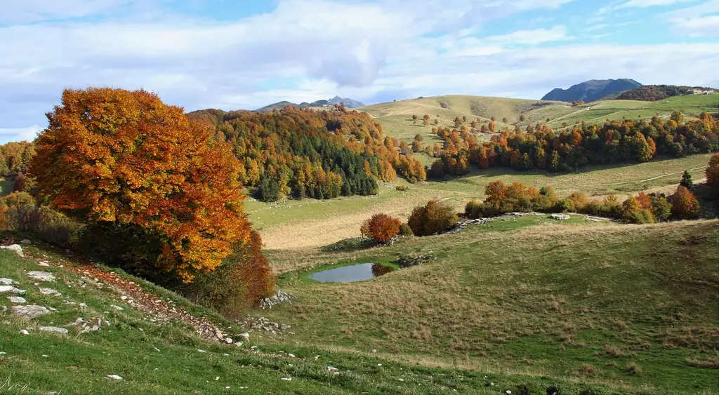 Herbst in alta Lessina. Foto: Stiftung Reiseziel Verona & Garda