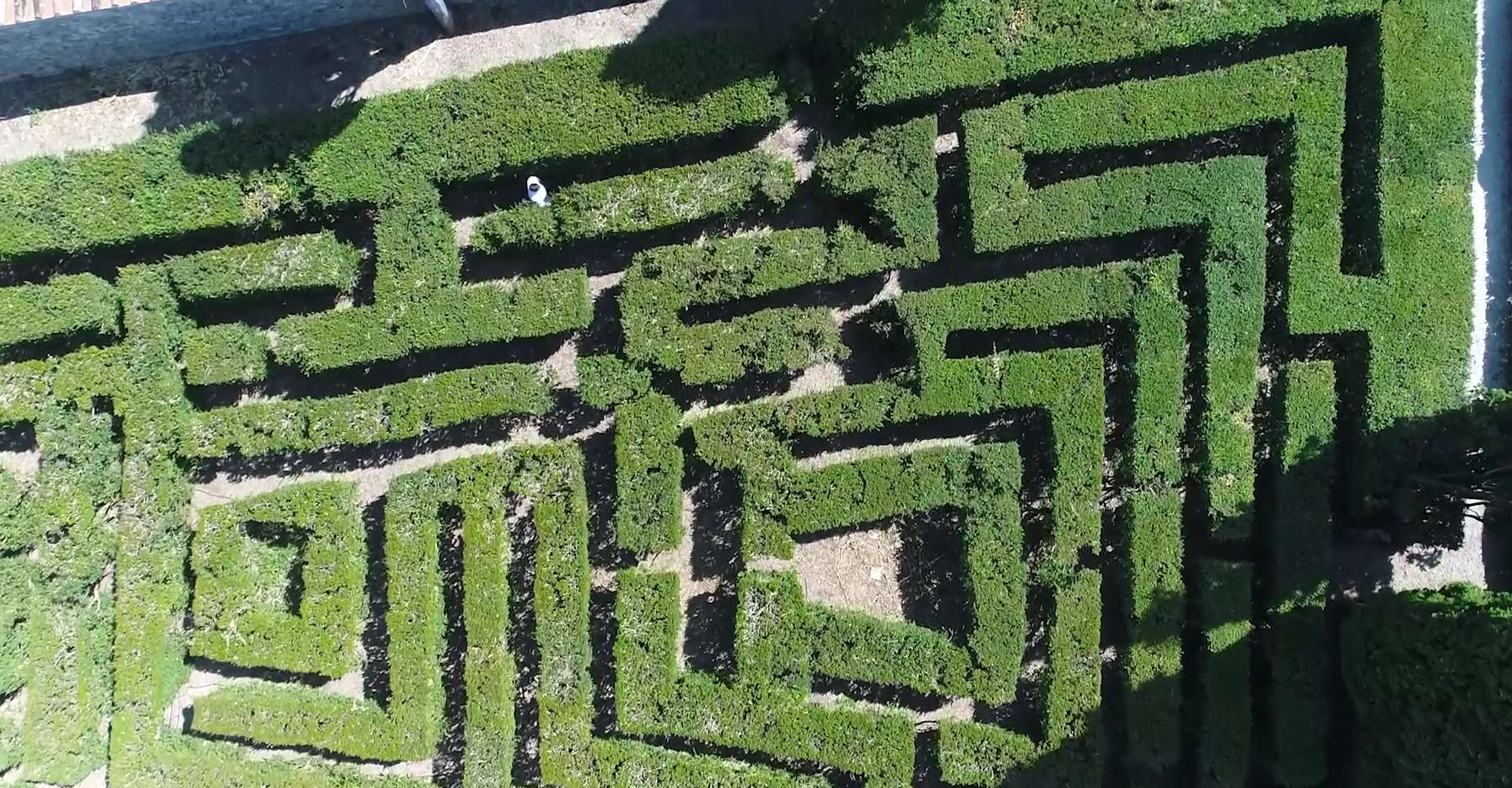 Il labirinto di Bufalini Castle. Photo: Alessandro Pasquali / Danae Project