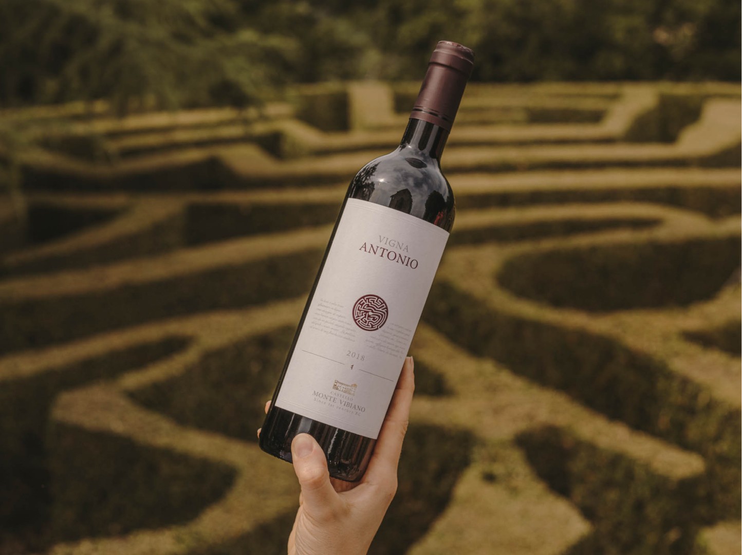 Le vin Vigna Antonio avec le labyrinthe sur l'étiquette