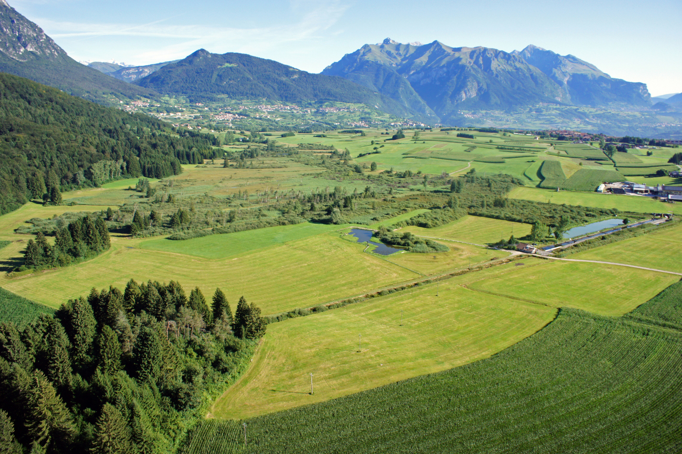 Fiavé, ancienne tourbière du lac de Carera. Bureau des archives pour le patrimoine archéologique Province autonome de Trente