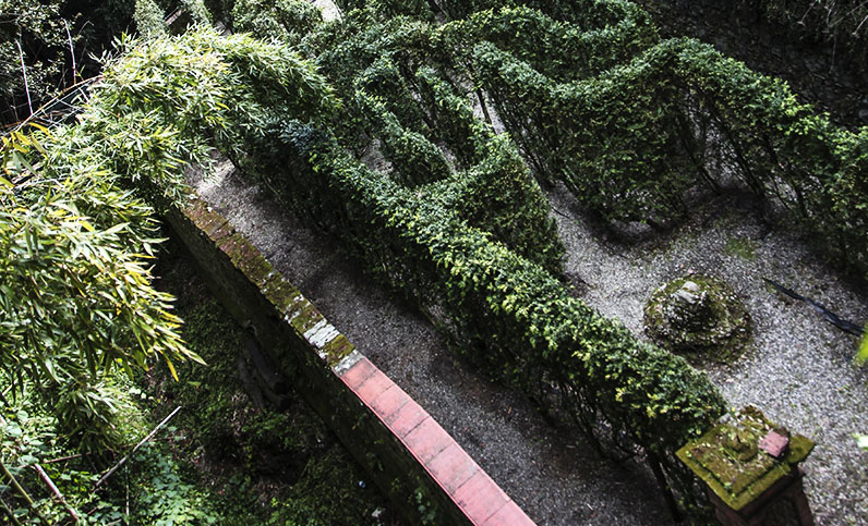 Le labyrinthe de la Villa Garzoni à Collodi, un labyrinthe pour les ...