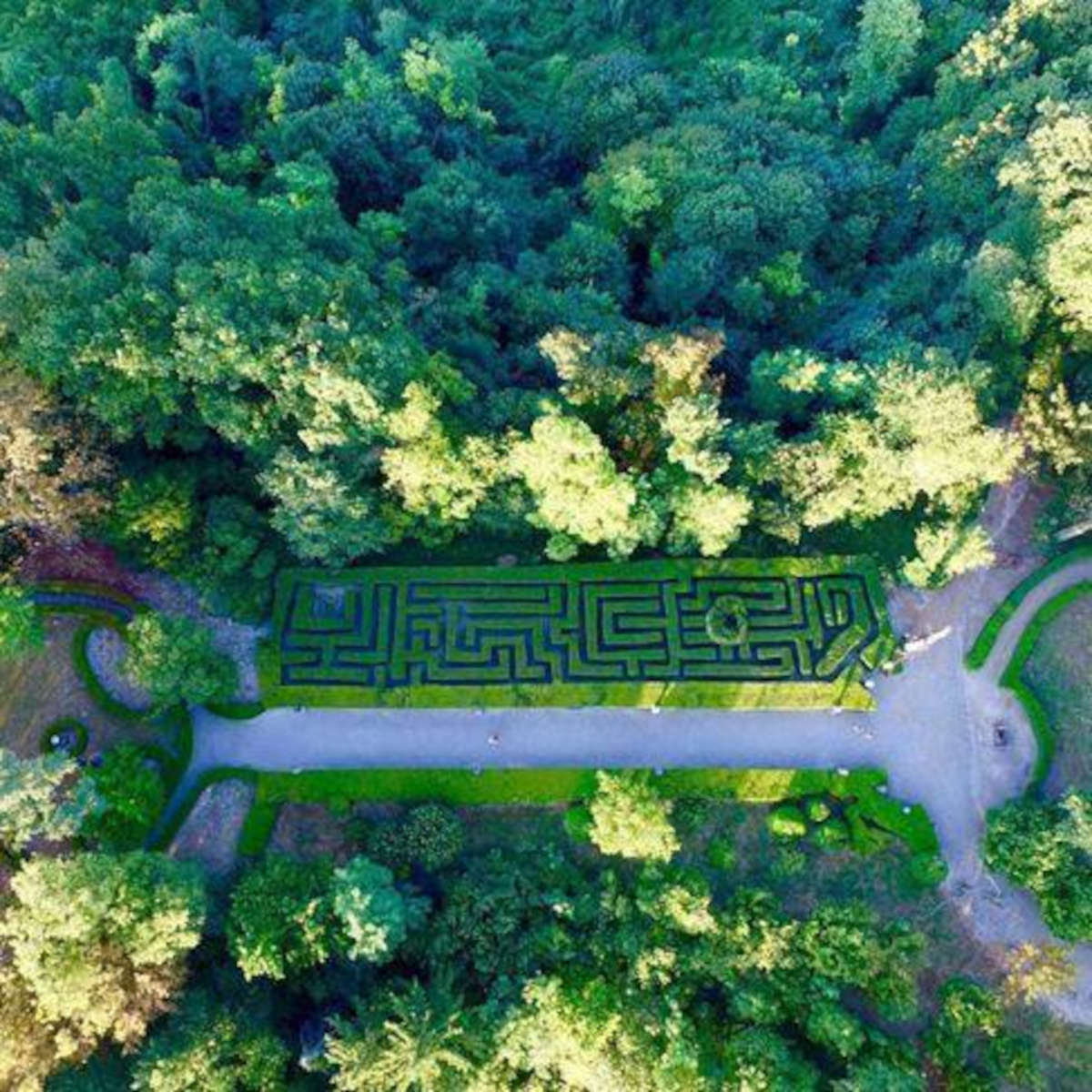 Le labyrinthe du château de Gabiano