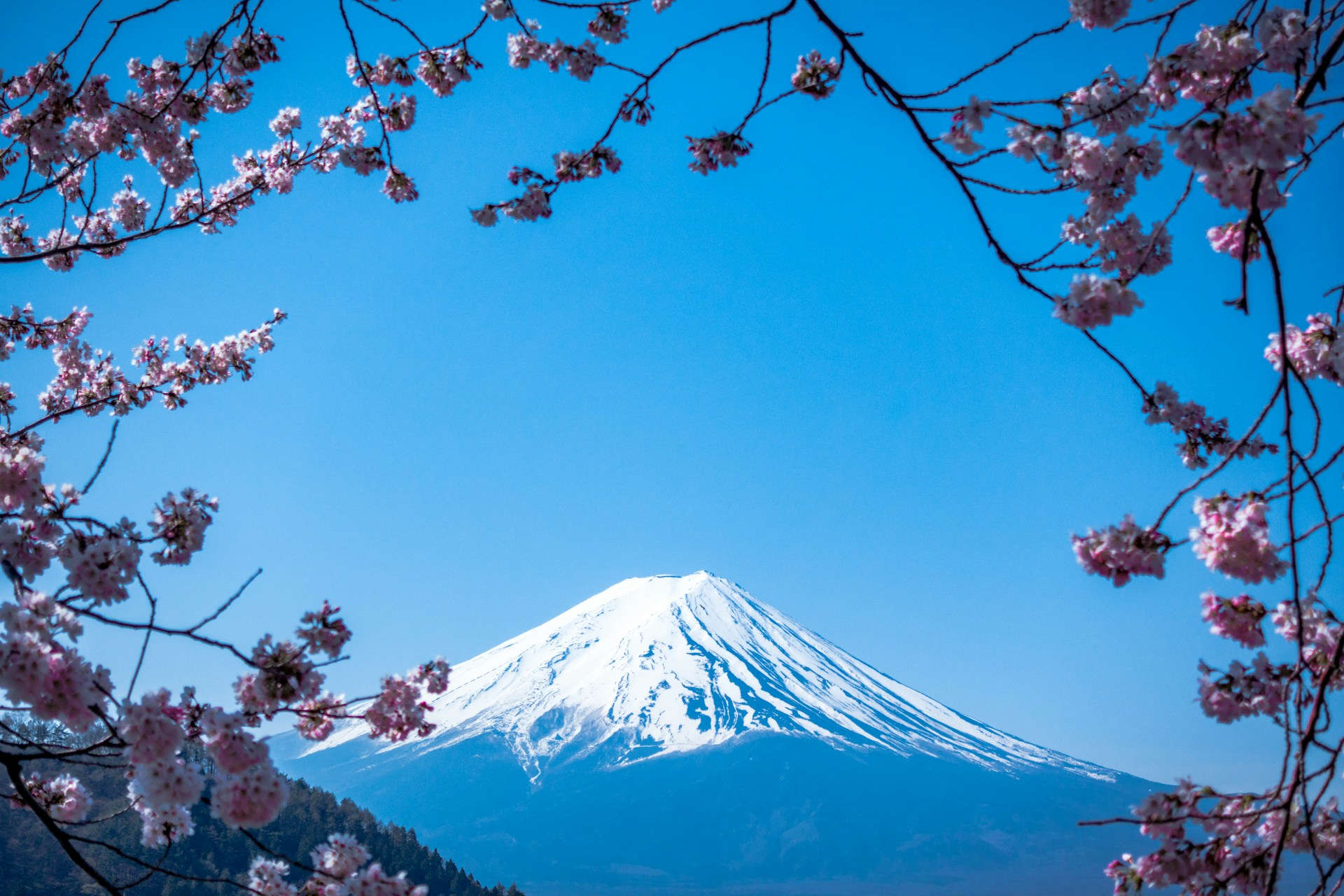 Mount Fuji 