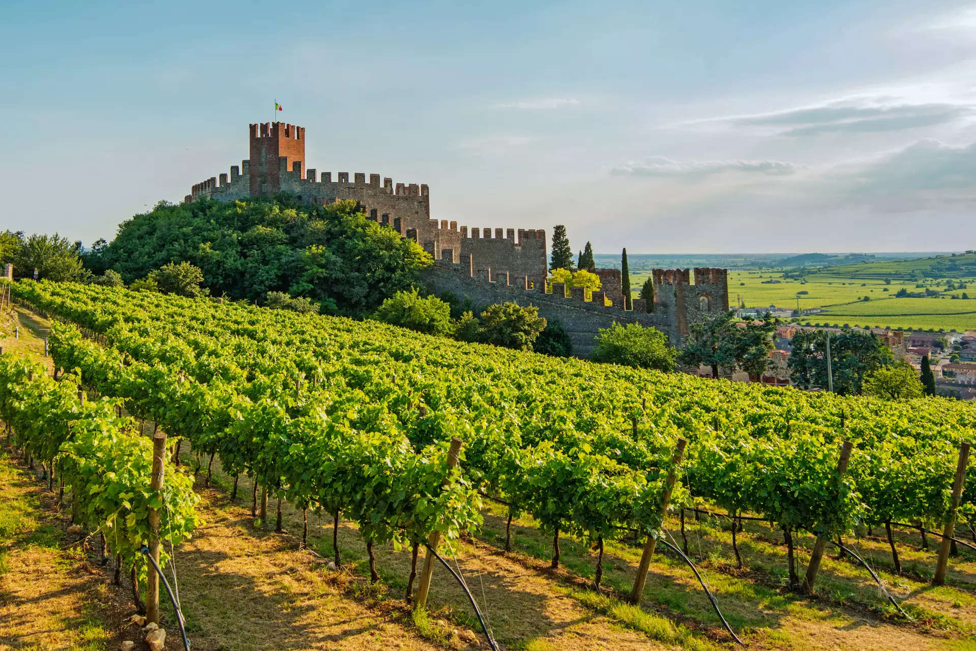 Vignobles à Soave. Photo : Fondation Destination Verona & Garda