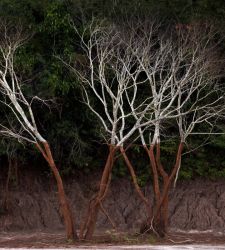 Torna a Milano MIA Photo Fair, l'appuntamento internazionale dedicato alla fotografia in Italia