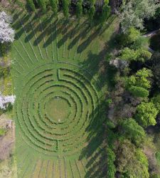 Il labirinto del Castello di Cordovado, dove passeggiare nel profumo delle rose