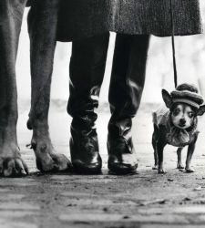 Pisa rinde homenaje al genio fotográfico de Elliott Erwitt a través de 80 instantáneas que captan el siglo XX