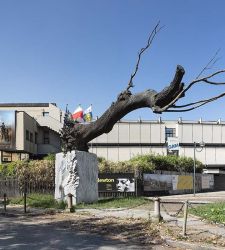 Le GAM de Turin ferme ses portes au public pendant un mois pour rénovation