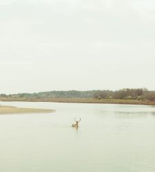 Un nouvel observatoire de la photographie voit le jour à Bologne : il s'agit de Foto/Territorio.