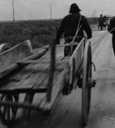 Una exposición en Pordenone sobre Italo Zannier, el fotógrafo que obtuvo la primera cátedra de Historia de la Fotografía en Italia