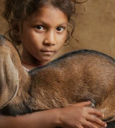 Indien in den Fotografien von Ivana Sunjic, die in der Pinacoteca Albertina in Turin ausgestellt sind