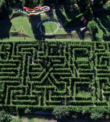 Il Labirinto del Kr&auml;nzelhof, un dedalo tra i vigneti