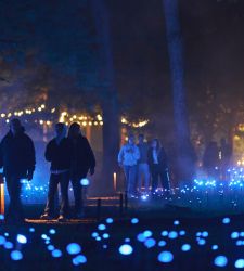 Auf dem Idroscalo in Mailand gibt es zum ersten Mal in Europa einen nächtlichen Sinnespfad, der die Verbindung zur Natur herstellt.