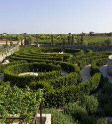 Un labirinto nel cuore del Salento. La Masseria Terre di Corillo