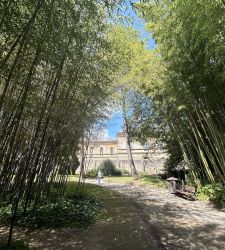 Le jardin botanique de Pise, l'un des premiers jardins botaniques universitaires au monde