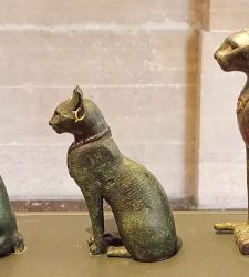 El aliento del desierto: importancia y representación del gato en el Antiguo Egipto