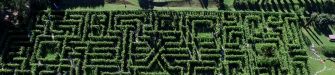 Das Labyrinth des Kr?nzelhofs, ein Irrgarten inmitten der Weinberge