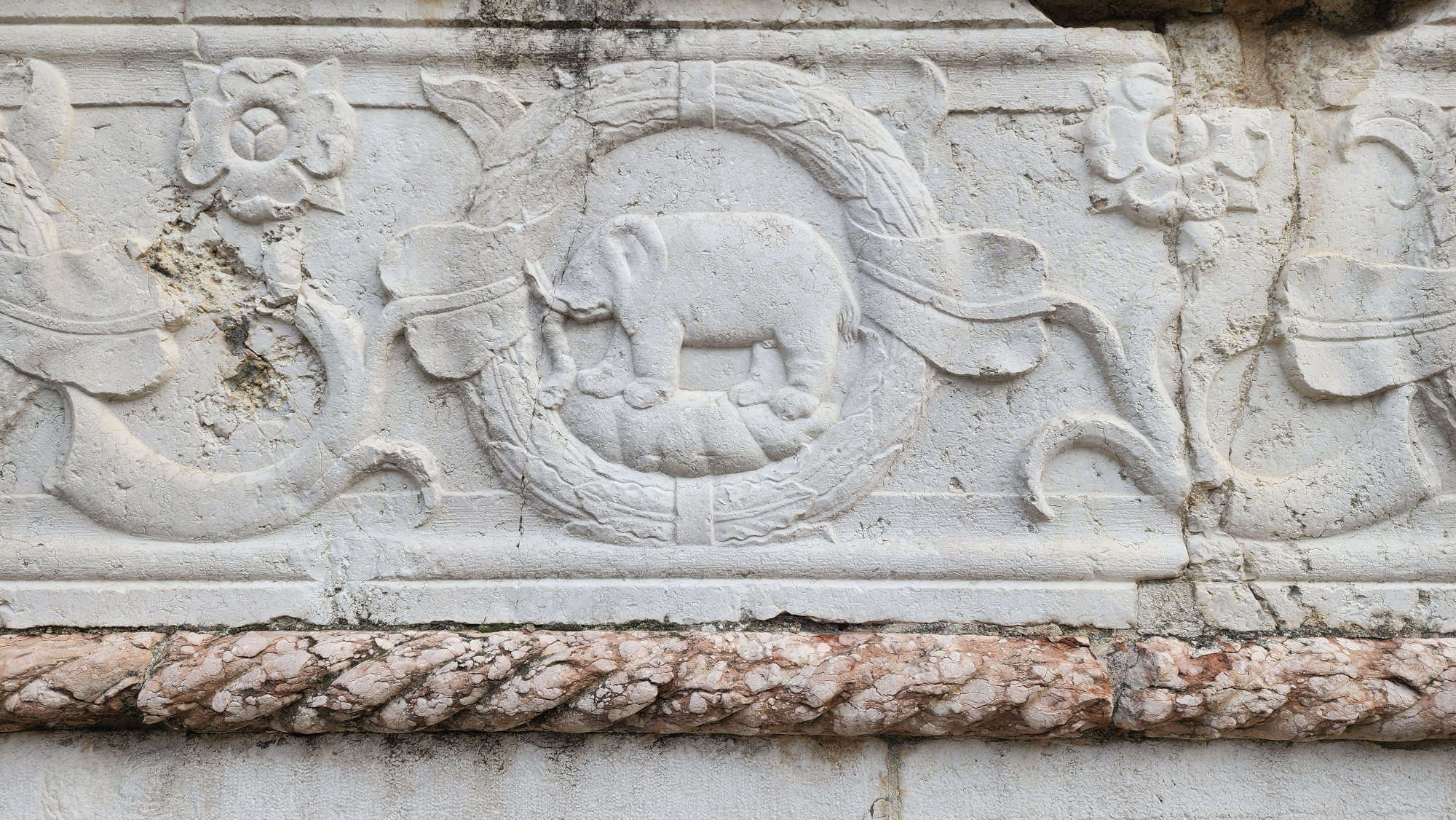 Eléphant de Malatesta sur la façade