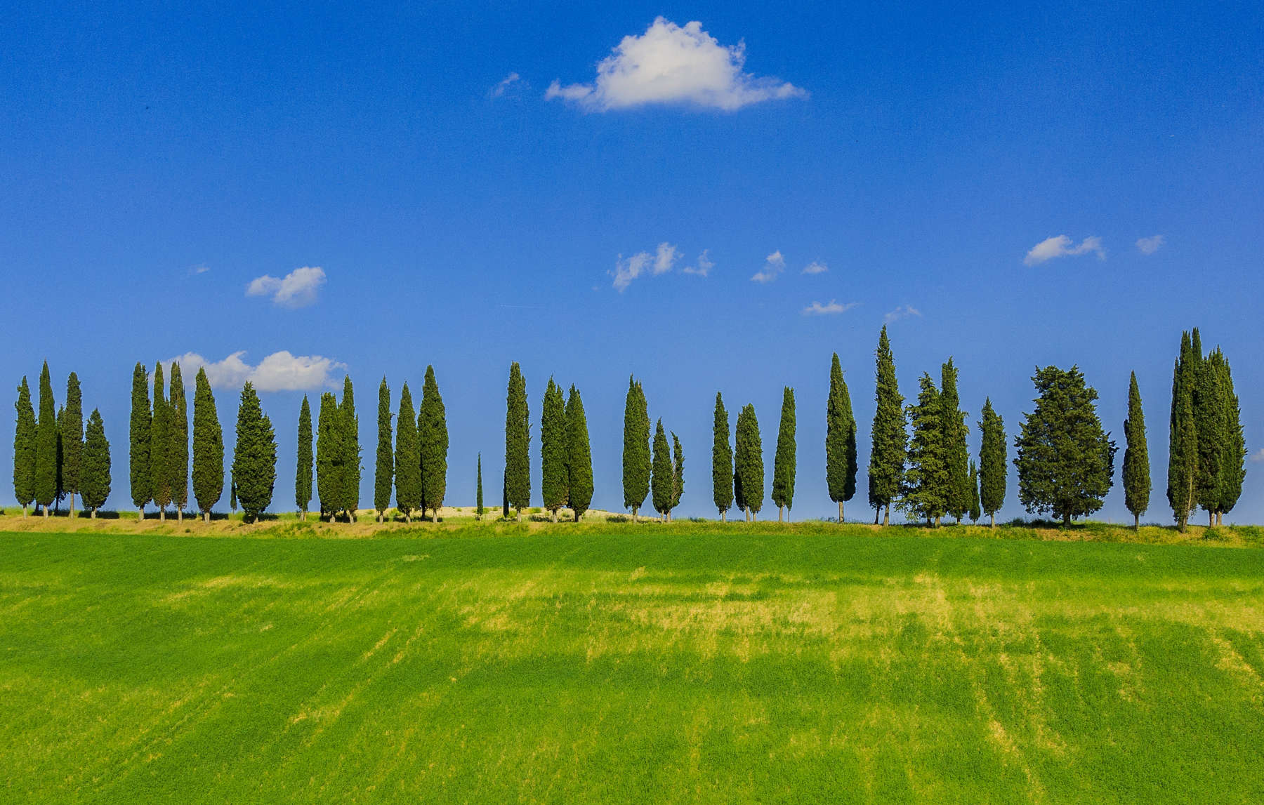 Les collines du Mugello. Photo : Christian Lorenz