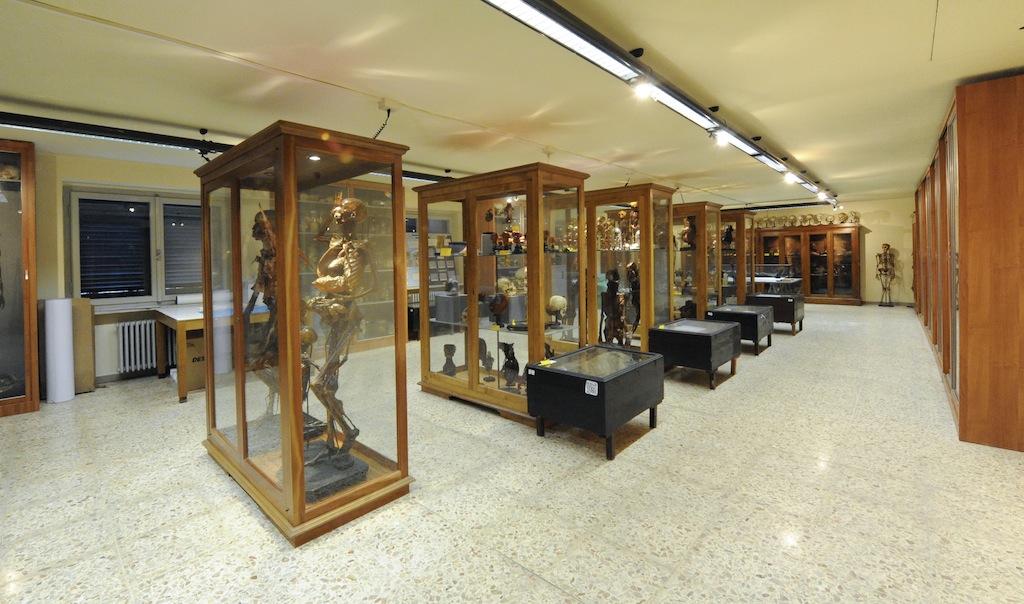 The Museum of Human Anatomy in Pisa