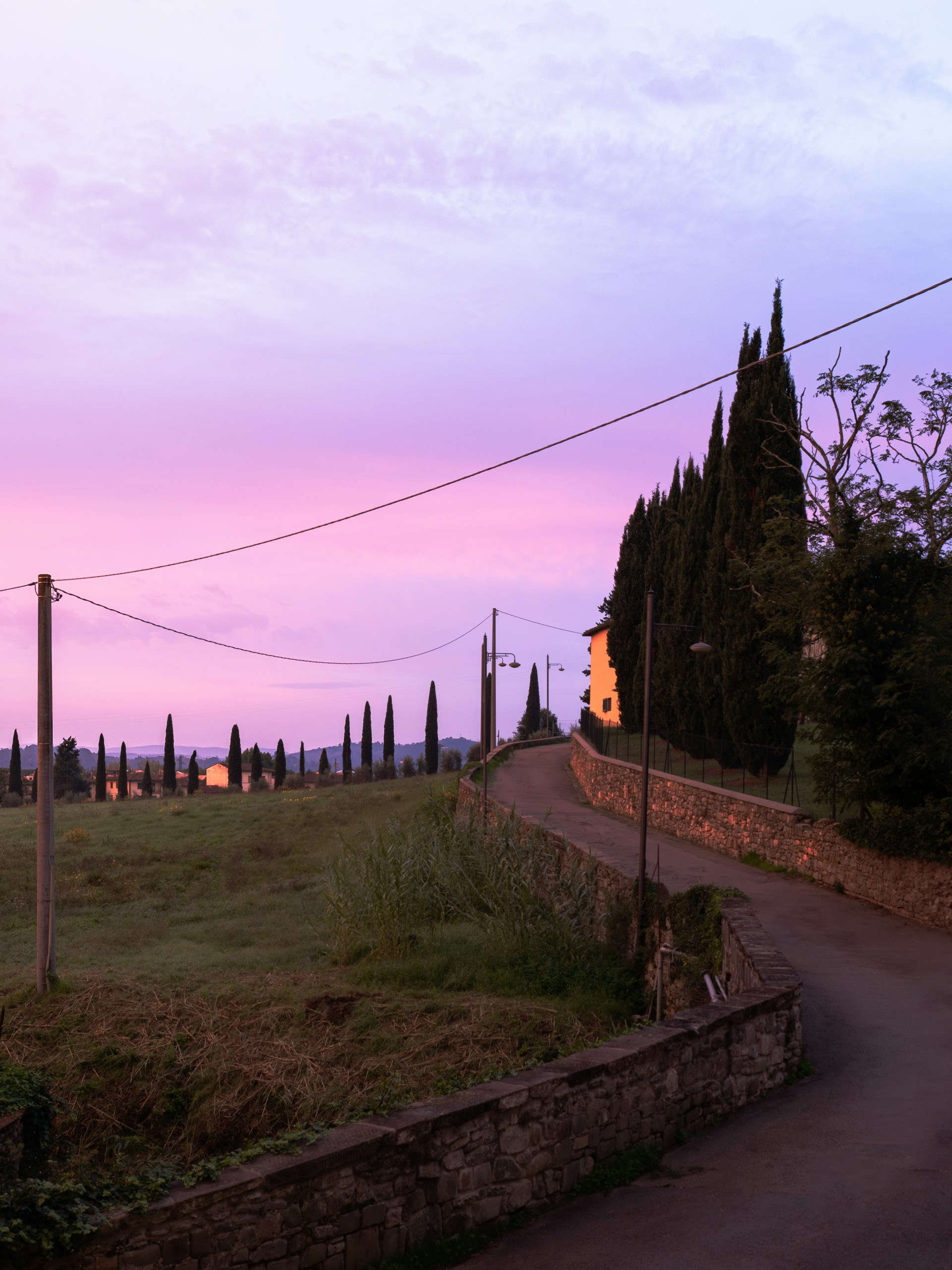 Hills of Fiesole