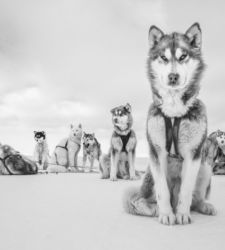 Cristina Mittermeier expone en Palermo un viaje fotográfico por la belleza y la fragilidad del planeta