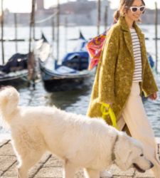 La première visite gratuite de chiens devant les grands musées italiens commence à Rome : 15 arrêts dans 15 villes 